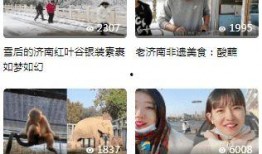 济南都市爆料事件视频播放,视频揭露惊人真相